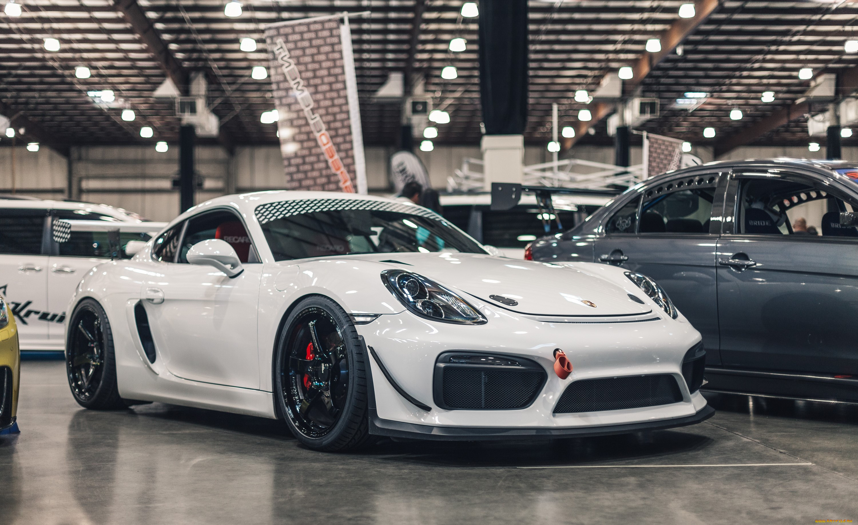 ,    , porsche, cayman, coupe, white, stance, stencenation